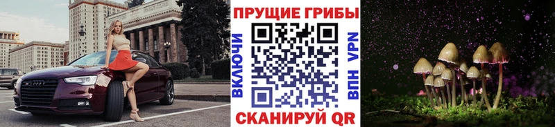 Галлюциногенные грибы мицелий Бердск