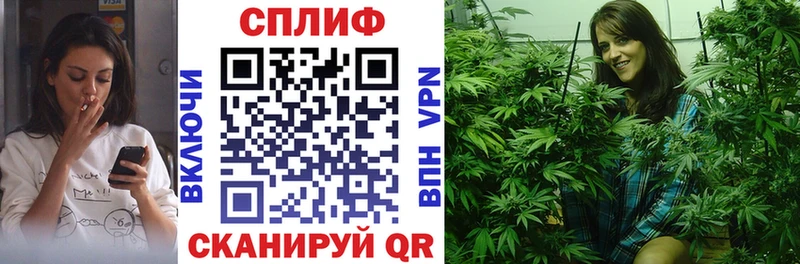 Марихуана сатива  Купить закладки  Бердск 